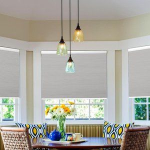 BlinDecor Blackout Cellular Shades Cordless 24" x 64" Honeycomb Blinds Windows S